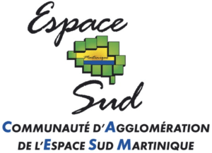 45_1024_Logo_Espace_Sud_large