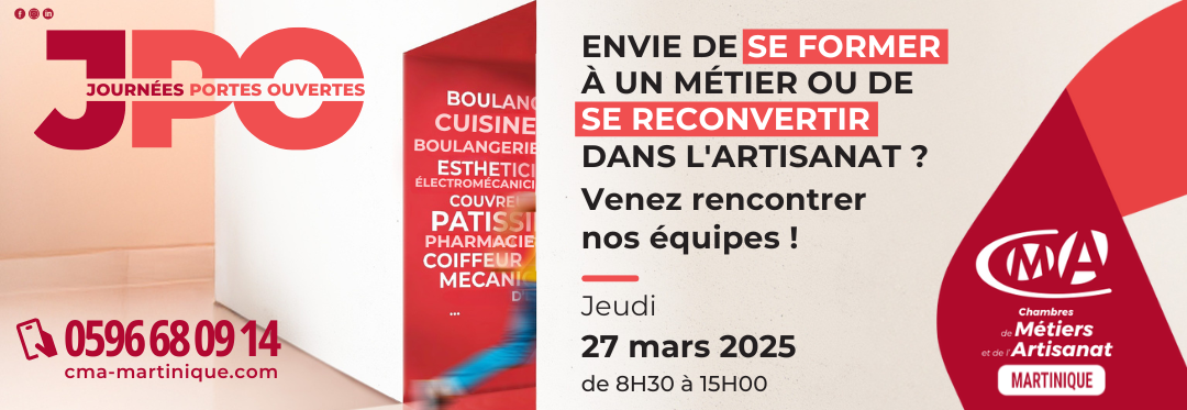 CMA Martinique CONSOLIDER SON PROJET DE MICRO ENTREPRISE 1080 x 373 px 4