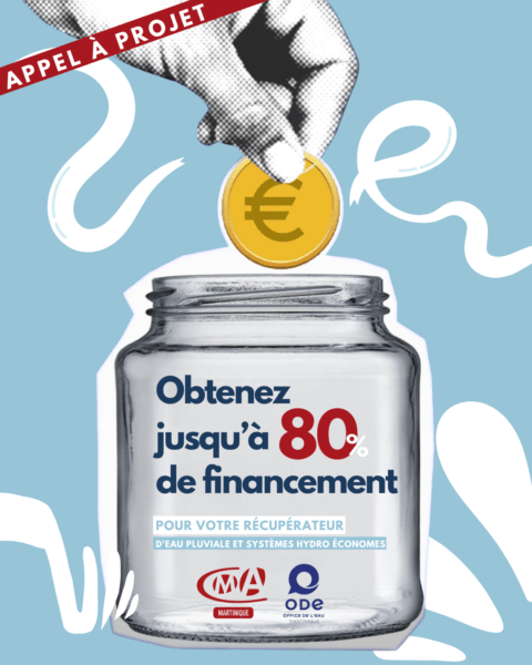 CMA Martinique appel a projet